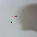 전 집이 없습니다... 저에게 희망을 주세요. 도와주세요.. 이젠...