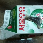 <b>서울우유</b>에서 뭐나왔뜸 사진 有