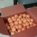 ★★귤까기 신을 뛰어넘는 내동생!! <b>대박</b> 2편★★