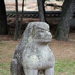 동네 백구가 이 <b>추위</b>에 밖에서 벌벌 떨고있어요 (사진有)