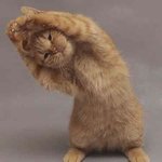 ★★욕 먹어야하는 팬덤★★