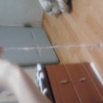 ★★★뻘짓을 해보장＠＠