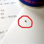즐겨먹던 <b>음료</b>에서 벌레가 나왔습니다.