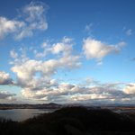 교환학생과 함께한 통일 전망대 방문기