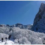 제주도 : 세계자연유산, 한라산을 가다! - 하행편