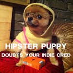 이 강아지가 <b>개간</b>지나는 힙스터래요