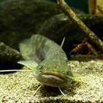 ★★★★★우리반 <b>구라</b>녀★★★★★(수정)