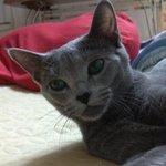 (사진有)★★남자친구구해용ㅠㅠ★★