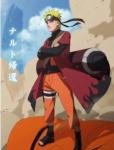 아 ....나루토vs원피스