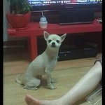 ●울산 <b>동구</b> 방어동 주변에 사는분!!●