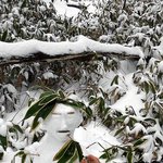 [사진有] 3d눈사람 만들기 in <b>한라산</b>