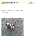 진짜19)☆☆☆☆<b>개이</b>☆☆☆☆사진有