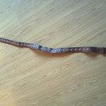 ★★★사진u)시스루 원피스 샀는데 <b>간디</b>작살 7부바지가 옴★★★