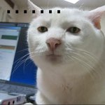 ★★(사진有느님)-★★★★사복에 입을 신발추천.★★★★★★★★