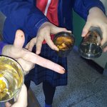 사진有)급식실 털이