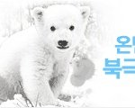 북극곰이 사라진다니... 안타깝군요... ㅡ.ㅡ