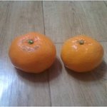 ((수정))★(<b>사진</b>有) 귤 <b>안</b>에 귤넣기★