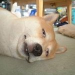 ★☆분실물 찾다 버스회사 직원한테 헌팅-_-☆★