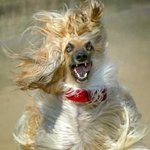 ★★현실과 다른내남친ㅋㅋㅋㅋㅋ(사진有)★★