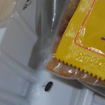 <b>편육</b>에 벌레가..