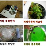 ★★★★★(사진有)제1차 요리대회★★★★★★★★★(+펌)