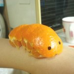 ★★ 나도 귤<b>벌레</b> 만들어봄 (귀염+혐오주의) 만드는법有 ★★