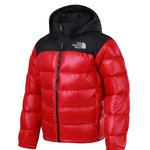 ★★★★★★★★★노페<b>or</b>네파★★★★★★★★★★★