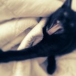 ★★★[사진有] 우리 집에 괴물이 살아요^^*★★★