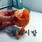 ★☆나도 만들었다 !!  귤 벌레 + 노동자 + 신의<b>경지</b> (사진有)★☆