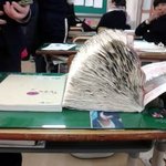 책으로 <b>베개</b> 만들기 ㅎ