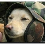 19일 입대하는 20男입니다..