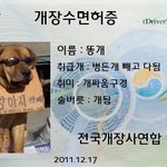 개장수 라이센스