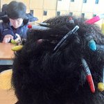 사진有)★★★제친구머리는................★★★