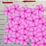 개념없는 동생의 담임선생님.