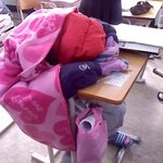 ★★★하루도조용할날이없는1학년8반보러오세요★★★(사진有!동영상有...