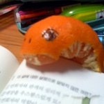 ♧♣♧♣♧♣나도귤벌레만들어봄♧♣♧♣♧♣