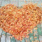 ★★★★★헤어진 여자친구+톡 제발 보내주세요★★★★★