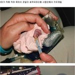 ★아기코알라의성장과정★★★