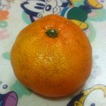 有(사진,동영상)★☆★ 귤까기 <b>종결</b> 합니다 ★☆★