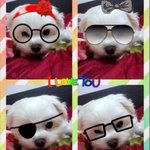 <b>서열</b>2위??ㅋㅋ 안경발 쫌 받지요??