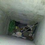 고양이를 구해주세요