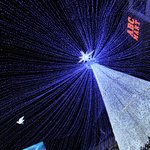 ♡♥♡♥♡♥♡♥♡부산15흔녀들 트리축제 사탕 드려요♡♥♡♥♡♥♡♥♡♥♡♥