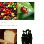 ★펌★ 우리가 모르는 식품첨가물들