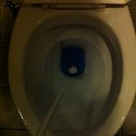 ★★★★★★ 변기<b>청소</b>솔 대참사.jpg ★★★★★★