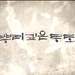 뿌나 + <b>무도</b> = 뿌무(뿌리깊은<b>무도</b>)