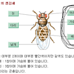 키작녀들의 <b>신체</b>구조 분석.jpg