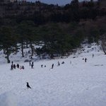 제주도 한라산 눈밭에서 하체노출사건????