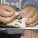[사진有] 19금 <b>역변</b>류 최강