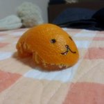 ★★★친구가 보내준 ㅇㄲㅅ 19금 (사진多有)낚시아님★★★