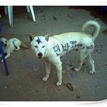 이거 중복일수도 있는데 보셨나요?